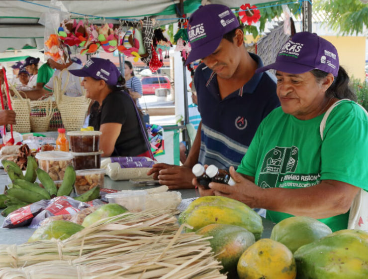 Rede de Feiras Agroecológicas e Solidárias do Ceará Eco Nordeste