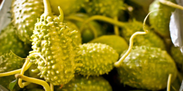 O Festival pretende contribuir para novos estilos de vida e incentivar a agricultura familiar agroecológica | Fotos: Arquivo Fundação Cepema