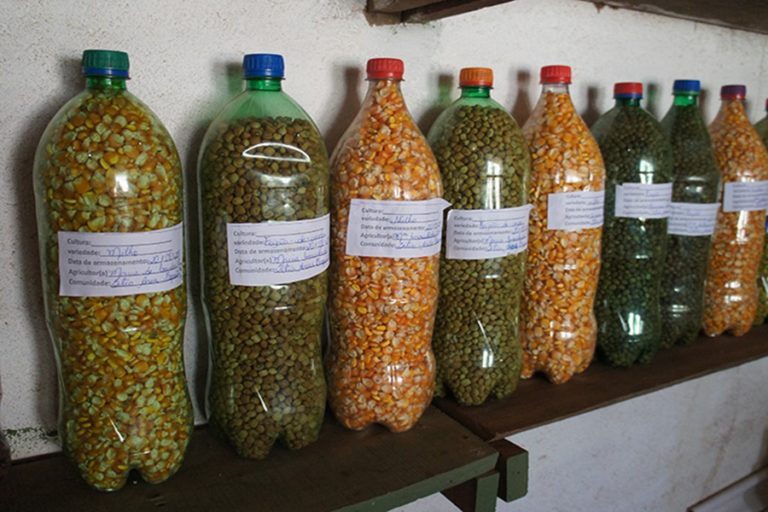 Aplicativo facilita gestão de casas de