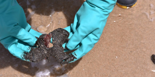 Retirada do óleo na Praia de Cumbuco | Foto: Marcos Vasconcelos