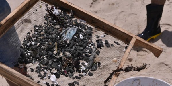 Retirada do óleo na Praia de Cumbuco | Foto: Marcos Vasconcelos