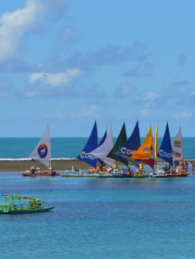 Jangadas com velas de cores diversas em mar calmo