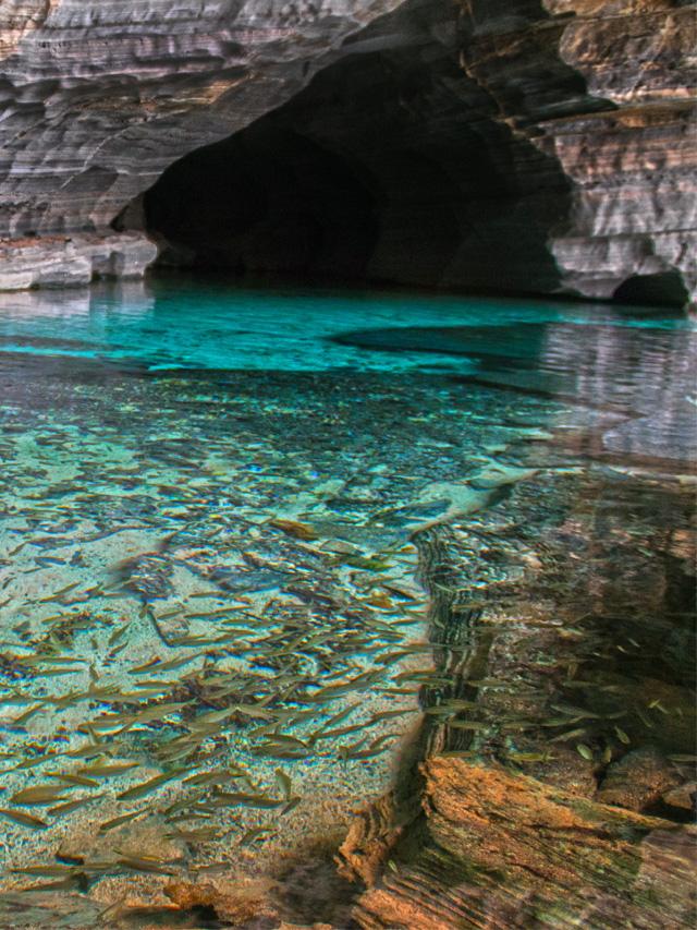 Águas de cor azul translúcido, entre as rochas de uma caverna. Na água há peixes de cor cinza