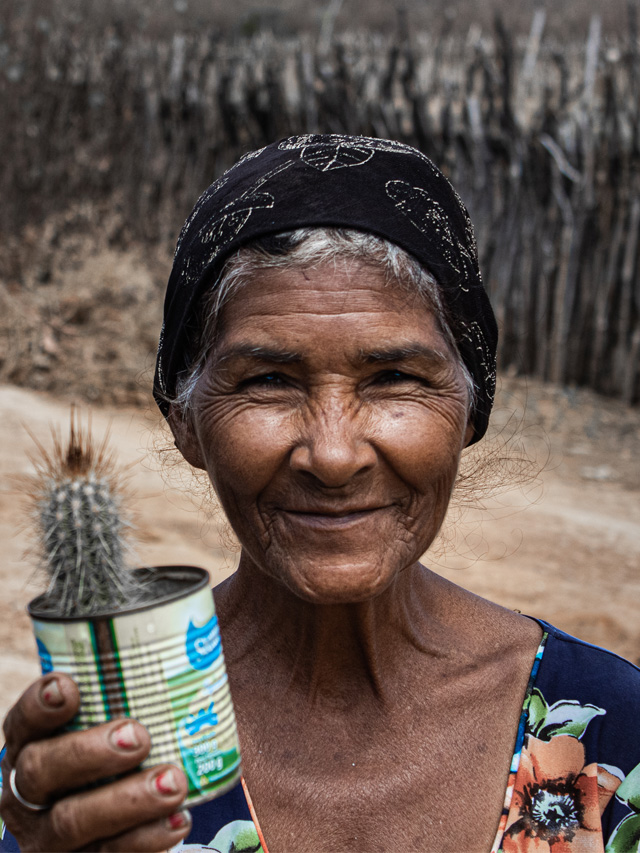 Senhora morena de cabelos grisalhos presos por um lenço preto com estampa branca. Seu rosto enrugado estampa aquele meio sorriso que não mostra os dentes. Ela veste uma roupa azul com esta floral grande e oferece uma lata com um cacto plantado. Ao fundo chão de terra, cerca rústica, vegetação seca e o céu