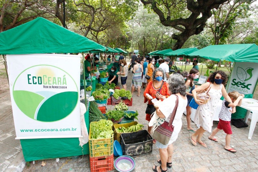 Barracas de feira verdes com as inscrições EcoCeará e Sesc, e pessoas transitando numa área calçada abaixo de árvores