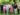 Nove pessoas pousam para foto num gramado com árvores ao fundo: da esquerda para a direita: Homem branco, um pouco calvo, de braba grisalha, veste calça escura, sapato marrom e camisa preta com estampa de flores e folhagens em branco, cinza e amarelo; mulher branca, baixa, de cabelos claros, lisos e compridos usa calça rosa, camiseta branca e óculos; atrás, homem branco, de barba preta com alguns fios grisalhos, usa chapéu bege e camisa azul clara; à sua frente, homem branco de cabelo e barba negros, usa calça de camisa claros de tons neutros e tênis branco; Atrás, homem de cabelos cacheados à altura do ombro, usa óculos escuros, bengala verde, calça jeans e camiseta branca; à sua frente mulher negra de cabelos grandes e cacheados usa vestido rosa; atrás homem branco de cabelos e barba negros é p mais alto do grupo e usa camiseta e tênis pretos e calça cinza; à frente, mulher branca de cabelos escuros e curtos, usa camisa preta e calça bege; ao seu lado, homem branco de cabelos escuros, veste tênis e cala pretos e camisa bege.