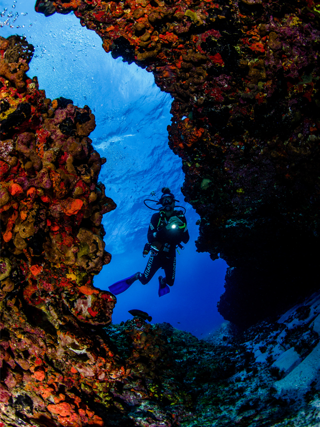 Formações rochosas no fundo do mar em cores avermelhadas, entre as brechas das rochas há um mergulhador com roupas escuras e pés de patos azuis