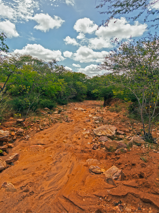 Fotografia de céu azul com nuvens, vegetação de médio porte, variada entre arbustos cinzas e verdes, ao redor de um riacho seco de terra avermelhada com pedregulhos nas laterais