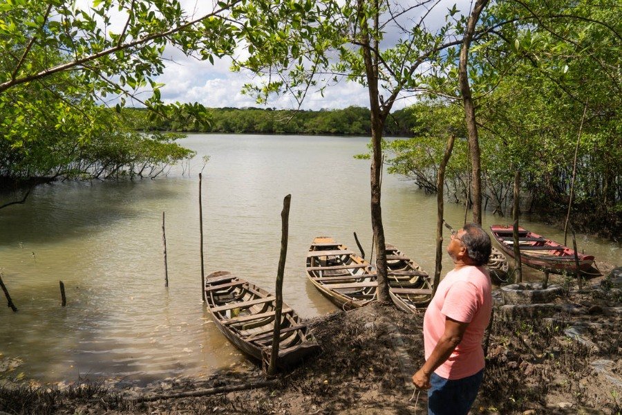Fotografia de céu azul, vegetação de mangue ao fundo, grande espelho d'água, canoas na margem próxima onde há um homem vestido com camisa rosa e bermuda jeans olhando para o alto das árvores
