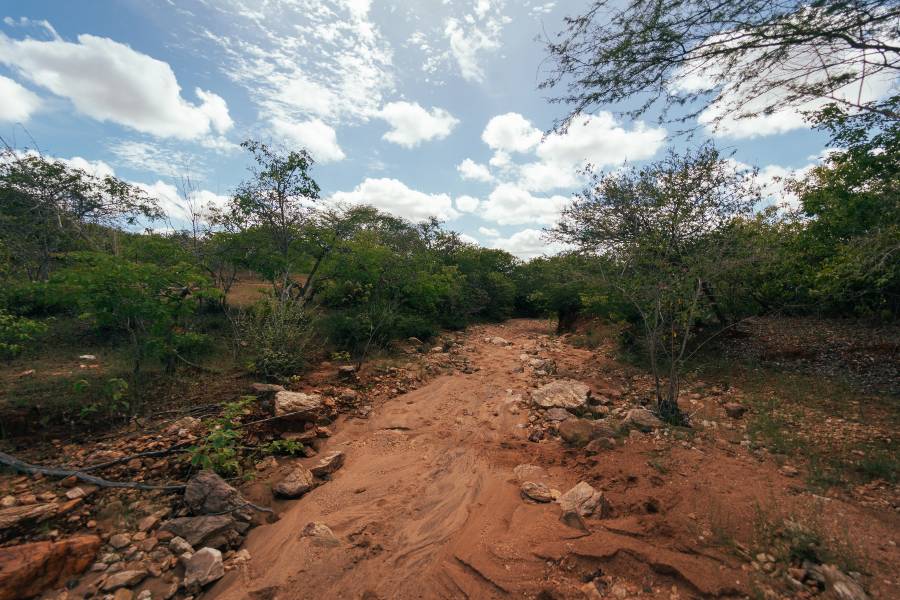 Foto de terra vermelha lavada com vegetação verde rala ao redor e céu azul com nuvens brancas acima