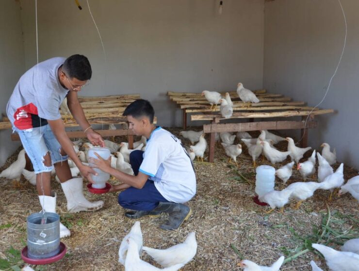 IRPAA - Instituto Regional da Pequena Agropecuária Apropriada