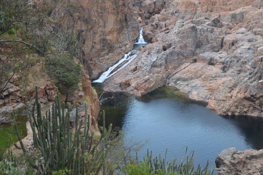 Grandes paredões de rochas alaranjados por onde escorre uma queda d'água formando uma cachoeira que cai para um espelho de água. Ao redor há cactos e vegetação de Caatinga