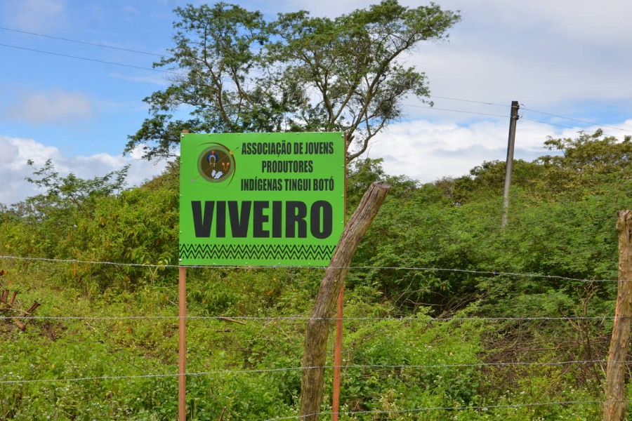 Vegetação de médio porte verde. Em primeiro plano há uma cerca de arame farpado e estacas de madeira tendo por trás uma placa verde com os dizeres "Associação de Jovens Produtores Indígenas Tingui Boto VIVEIRO" sob um céu azul