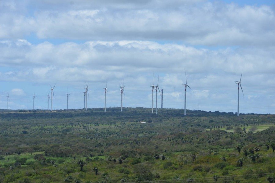 Aerogeradores de energia elétrica unidos em um grande campo de vegetação verde sob um céu azul com nuvens
