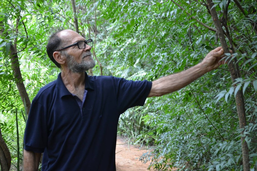 Homem branco, meio calvo, com barba grisália, óculos de armação preta e camisa polo azul marinho em trilha vegetada olha em direção às plantas e segura o tronco fino de uma árvore jovem