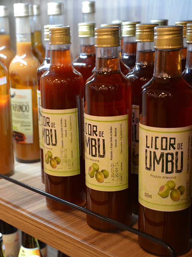 Prateleiras com garrafas com licores marrons em diferentes tons, nas garrafas em primeiro plano há os dizeres no rótulo: Licor de Umbu