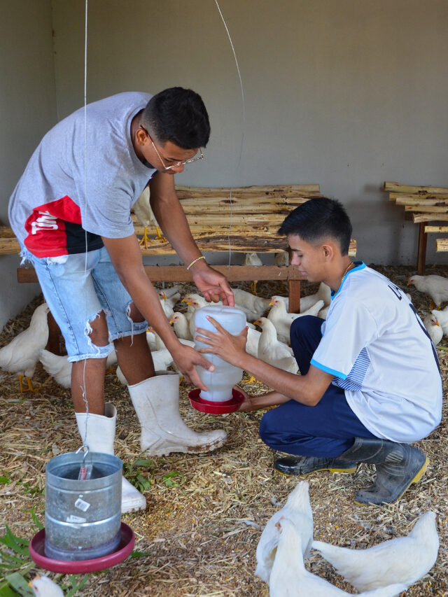 Educação voltada para jovens do campo