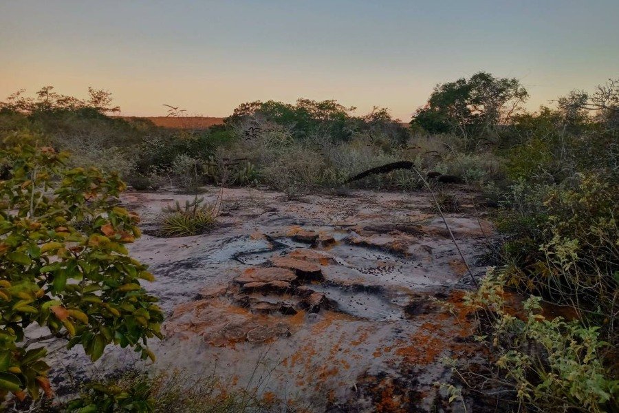 Fotografia de paisagem com vegetação verde de Caatinga ao redor de um lajedo de pedras de textura alaranjada com luz do sol poente que deixa o céu alaranjado