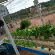 Tecnologia reúne segurança hídrica, produção de alimentos e geração de energia no NE