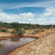 MapBiomas revela perda mais de 10% de vegetação nativa na Caatinga em 37 anos