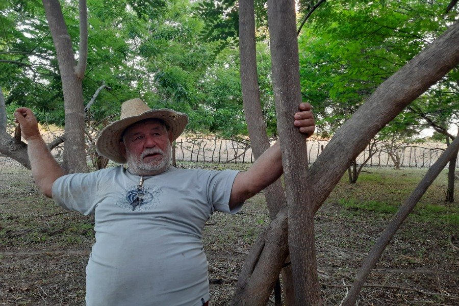 Homem branco de cabelos e barba brancos veste camiseta clara, chapéu de palha e está encostado em galhos de árvore jovem