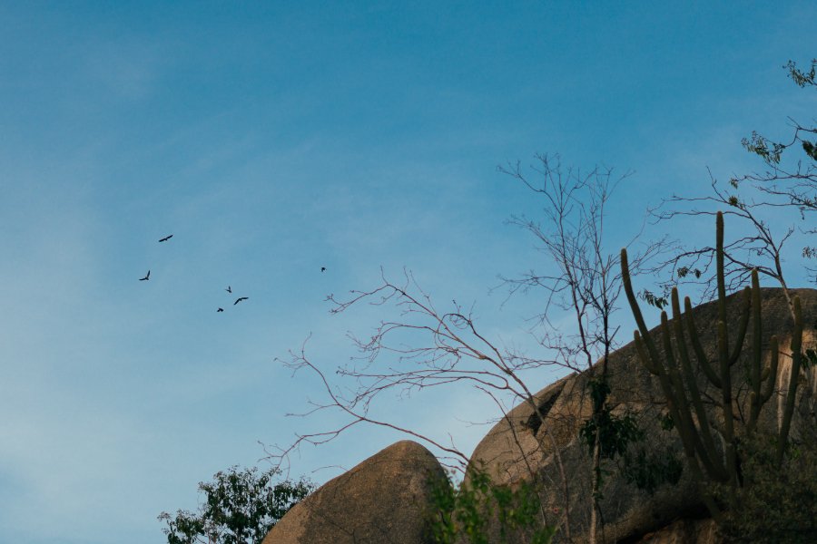 A imagem é predominada pelo céu azul onde pássaros voam. No lado direito abaixo o topo de uma formação rochosa e alguma vegetação, incluindo cactáceas
