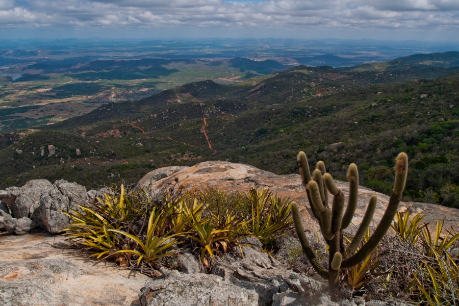 Imagem feita do alto mostra até o horizonte um trecho de serra