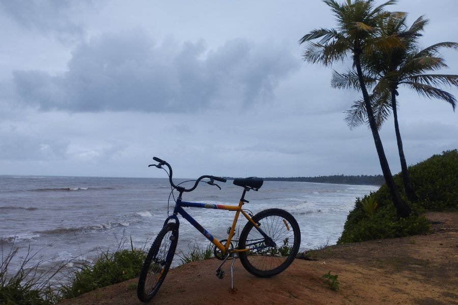 Foto de bicicleta em paisagem à beira-mar, sobre uma falésia, tendo o mar ao fundo e vegetação de restinga e coqueiro à direita sob céu nublado