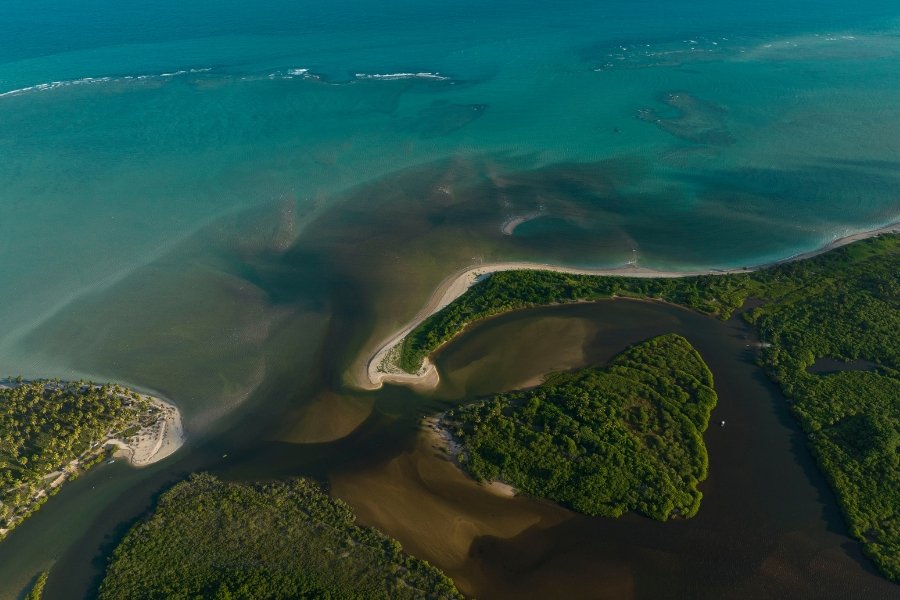 Encontro do rio, cercado por manguezais, com a praia de águas azuis e recifes de corais