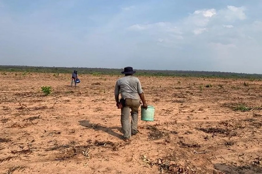 Foto colorida mostra dois trabalhadores rurais preparando uma área desmatada para plantio. Um deles, em primeiro plano, usa chapéu, está de costas e carrega um balde na mão.