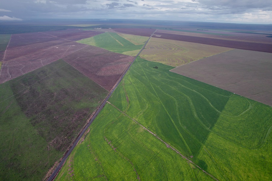 Foto aérea colorida mostra parcelas de culturas agrícolas com tons de verde de claro a escuro. Ao fundo céu nublado