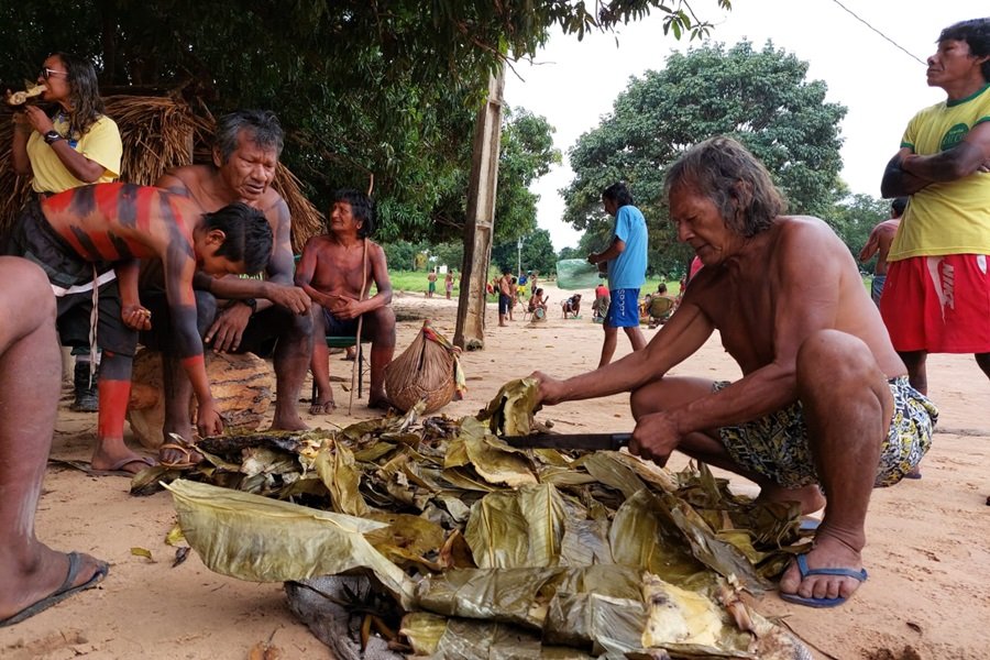 Homens indígenas sem camisa, alguns com pinturas corporais, reunidos em roda em meio a palhas de bananeiras, enquanto um deles corta as palhas com um facão