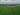 Foto aérea colorida de extensa área plantada com monocultura de soja tendo ao fundo vegetação nativa de cerrado composta por palmeiras e árvores esparsas sob um céu azul coberto de nuvens cinzas