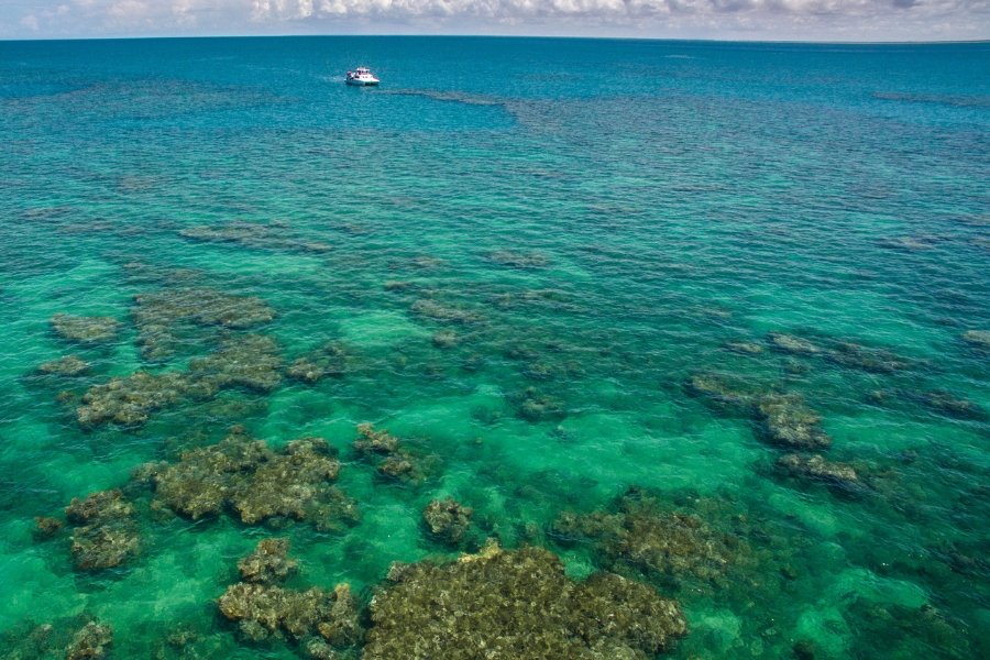 Imagem aÉrea do oceano em tons de verde no primeiro plano, com um banco de recife de corais submerso e azul ao fundo. No alto, céu nublado