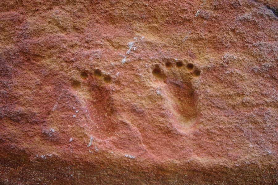 Fotografia de pegadas pequenas contendo dois pés e cinco dedos em cada pé. As pegadas foram marcadas em uma superfície rochosa avermelhada