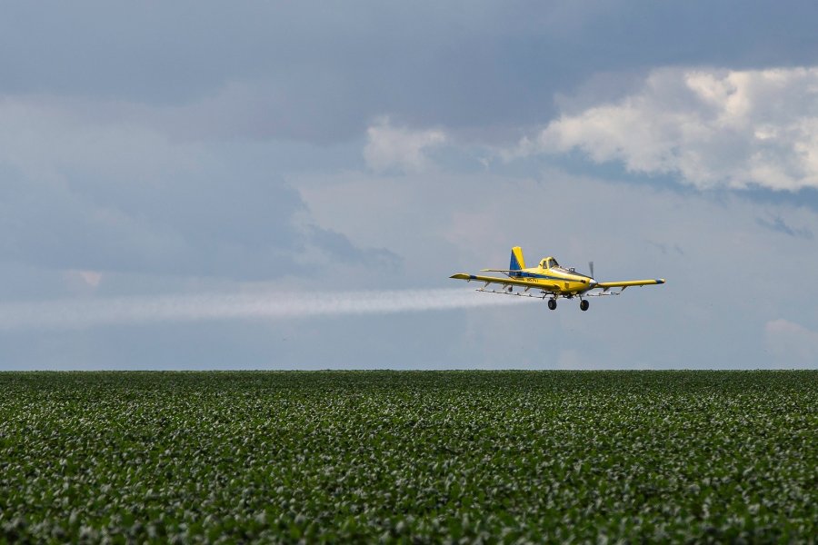 Foto colorida de avião amarelo sobrevoando uma grande área de plantação de soja que forma um campo verde. O avião deixa um rastro de agrotóxico em forma de vapor, sob um céu nublado