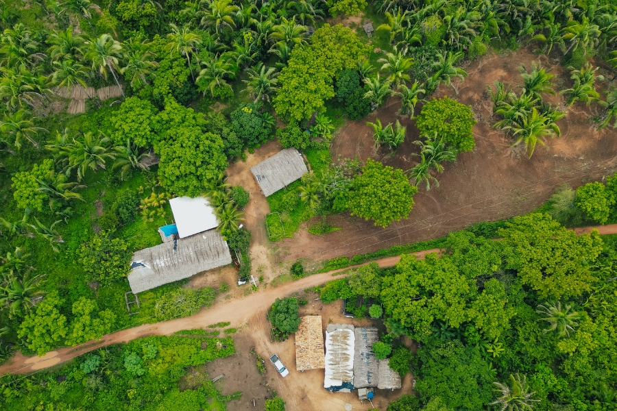 Foto aérea colorida de moradias e área de plantio cercada de floresta nativa com árvores e palmeiras