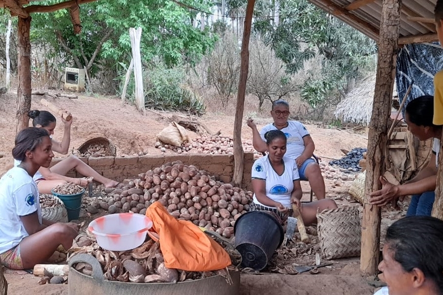 Foto colorida de grupo de mulheres sentadas em volta de um monte de frutos da palmeira babaçu conversando e quebrando os coquinhos