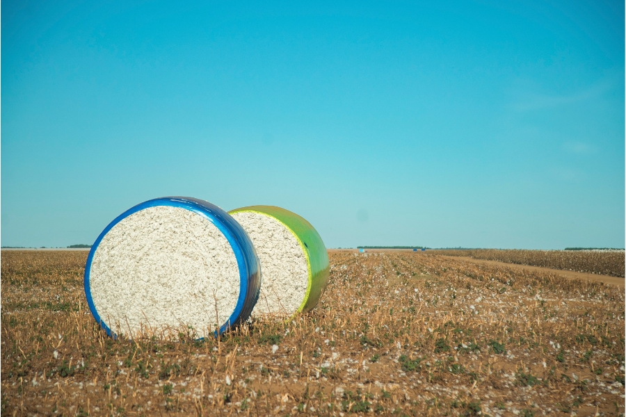 Foto colorida em área aberta tendo em primeiro plano duas estruturas circulares, uma azul e uma verde, cheias de algodão