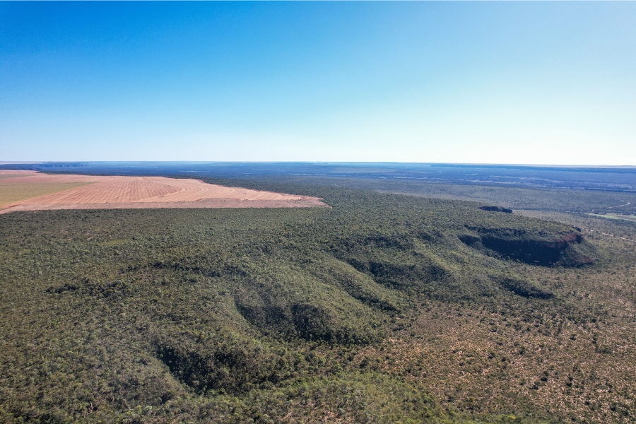 Foto aérea colorida de extenso platô coberto de vegetação nativa de Cerrado com uma área desmatada ao centro sendo preparada para receber agricultura. No horizonte céu azul sem nuvens