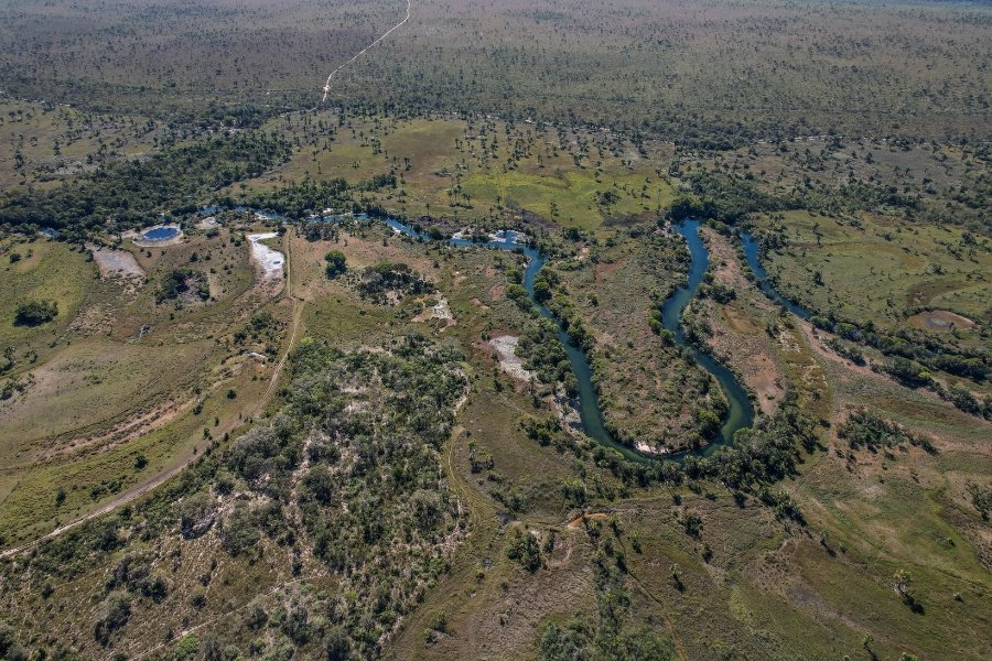 Imagem aérea de rio serpenteando terreno com aglomerados de árvores ilhadas por vegetação rasteira