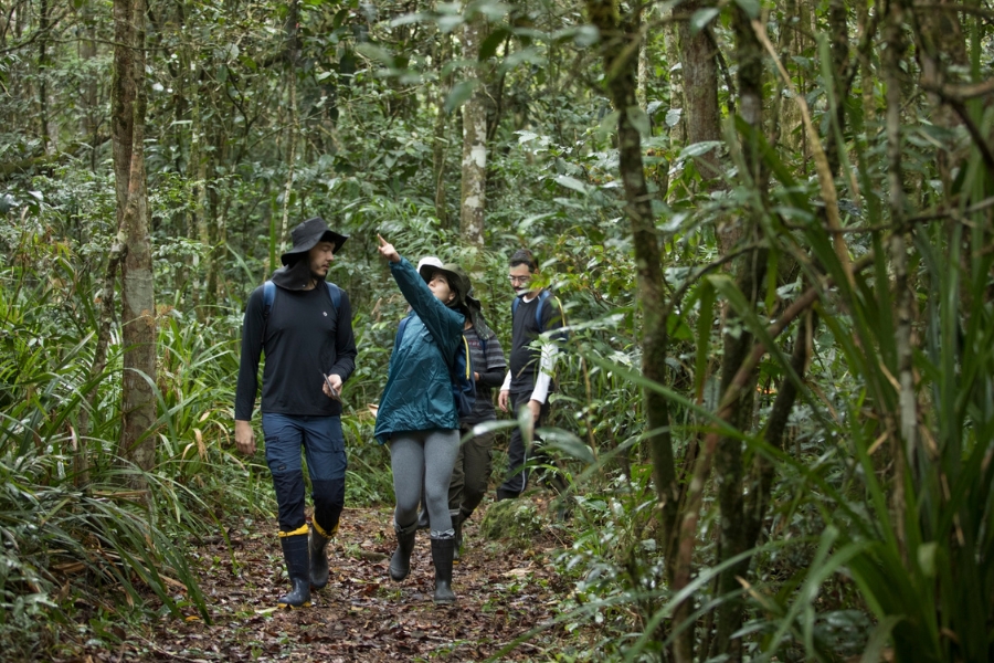 Foto de um grupo de quatro pessoas numa trilha na floresta. À frente um rapaz branco de barba e cabelos escuros com camisa com proteção UV, calça, bota de borracha e chapéu com proteção de pescoço pretos. Ao lado dele uma moça de capa de chuva verde, legging cinza, bota de borracha preta e chapéu com proteção de pescoço bege aponta para o alto. Atrás deles tem mais duas pessoas, sendo um rapaz com camiseta preta