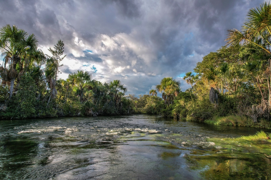 Foto colorida de rio com correnteza de águas claras ladeado por vegetação exuberante sob céu azul coberto de nuvens|Foto: Eduardo Cunha