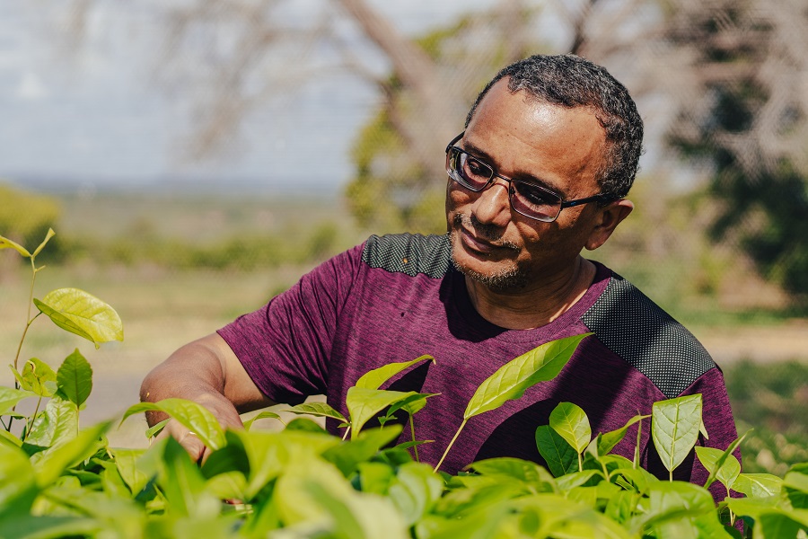 Foto colorida de homem pardo usando oculos de graus de armacao metalica e camisa rosa escura toca em mudas de plantas