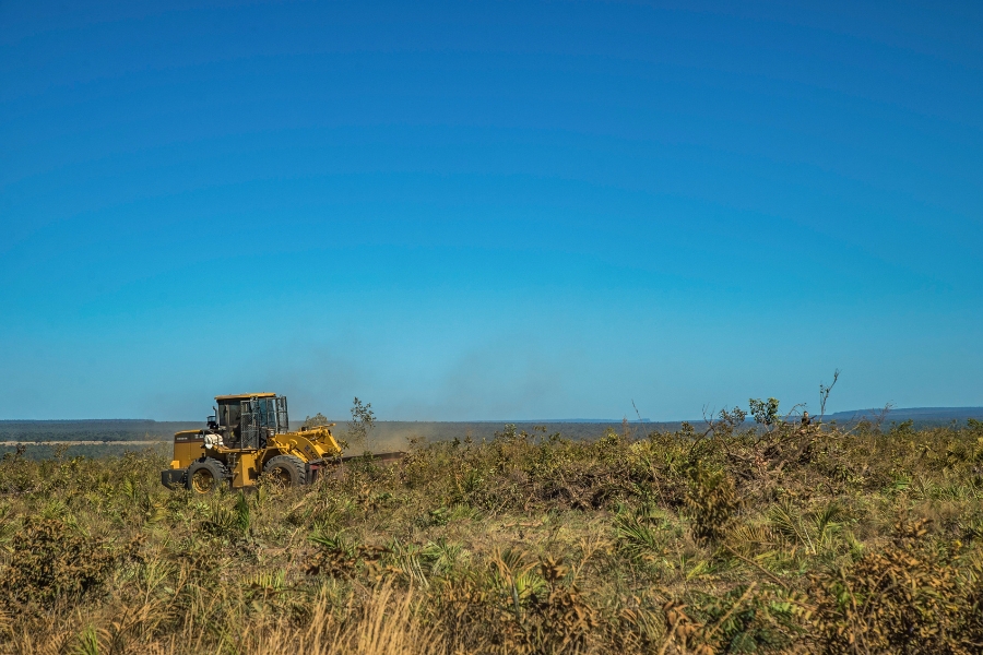 Foto colorida de trator amarelo tipo retroescavadeira remoevendo vegetação rasteira sob o céu de um azul intenso