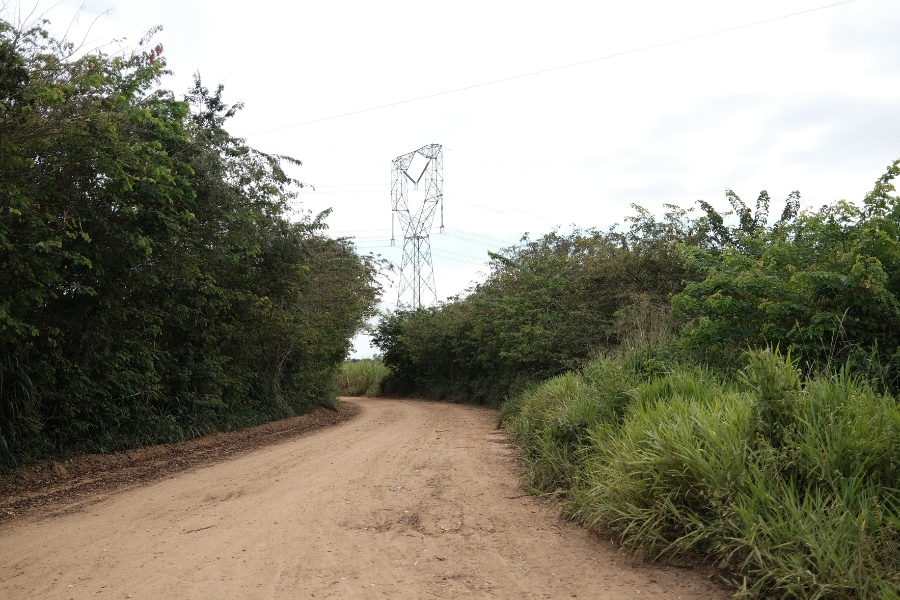 Foto colorida de estrada de barro ladeada por vegetação exuberante e verde tendo ao final uma curva e uma torre de transmissão de eletricidade