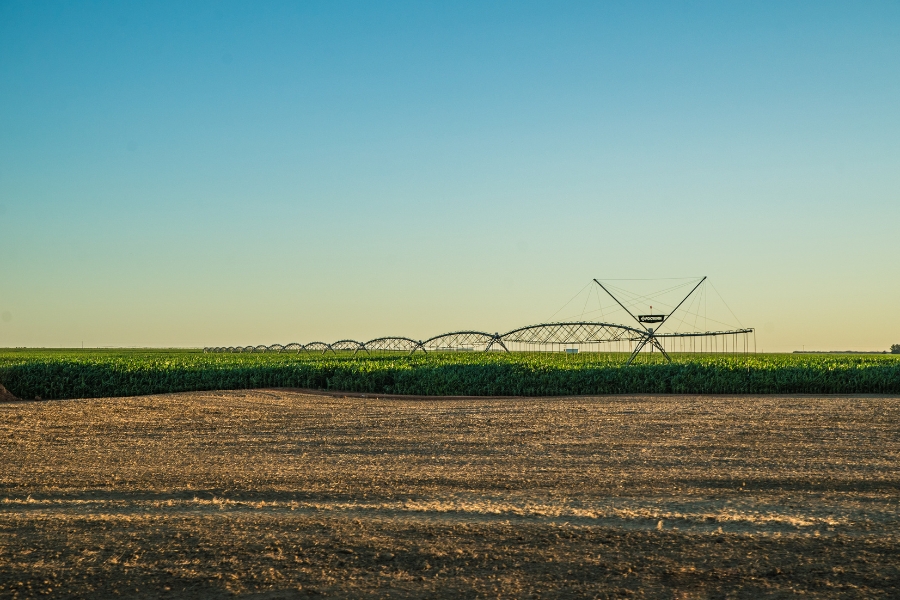 Foto colorida de plantação com estrutura metálica usada na irrigação ao fundo da imagem sob um céu azul