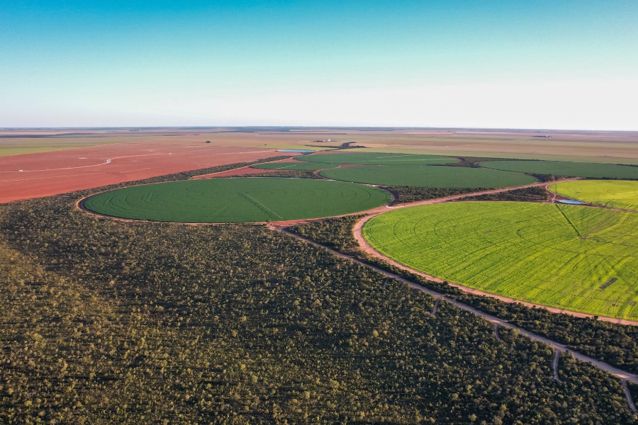 Foto aérea colorida de plantações em círculos cercadas de vegetação nativa e de terrenos preparados para o plantio sob um céu azul no horizonte