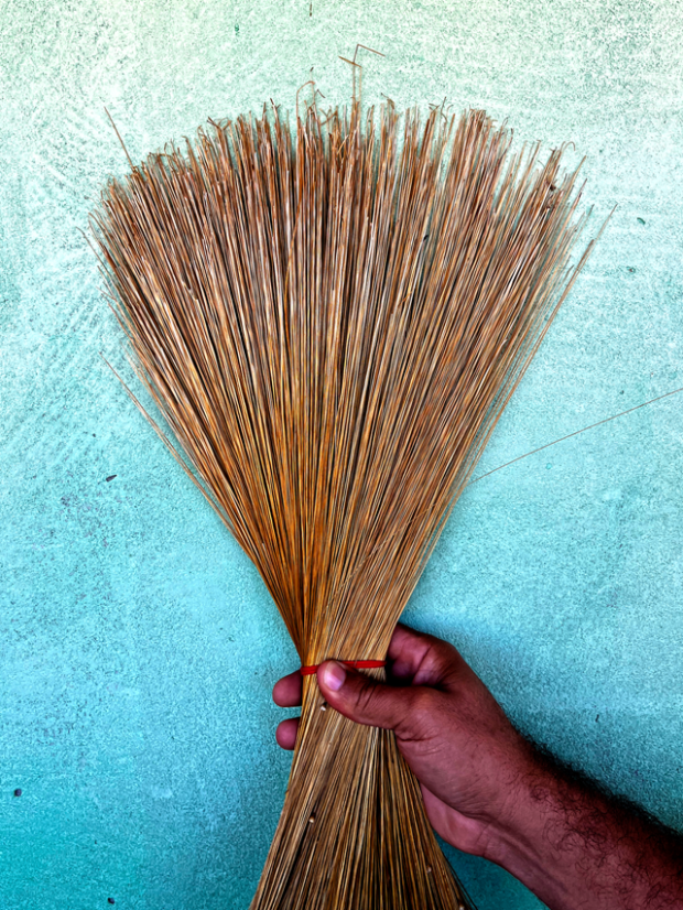 WebStories-87-Poster.-IMG_2378ed