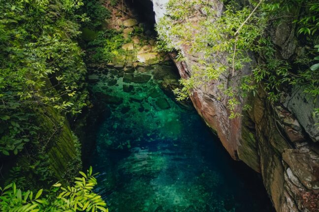 A imagem apresenta um cenário natural deslumbrante, destacando uma piscina de águas cristalinas em tons de azul e verde. A área está cercada por vegetação exuberante, com árvores e folhas que se projetam sobre a água. As rochas que compõem as margens e o fundo do ambiente variam de tons de marrom e cinza, criando um contraste visual com a água límpida.